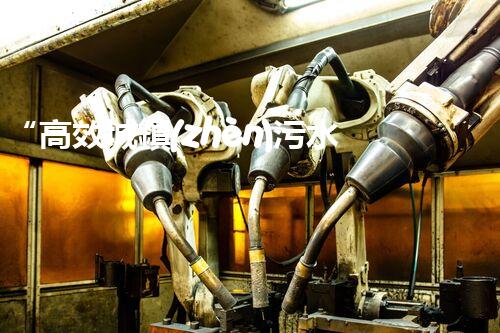 “高效城鎮(zhèn)污水處理流程，守護碧水藍天新篇章”
